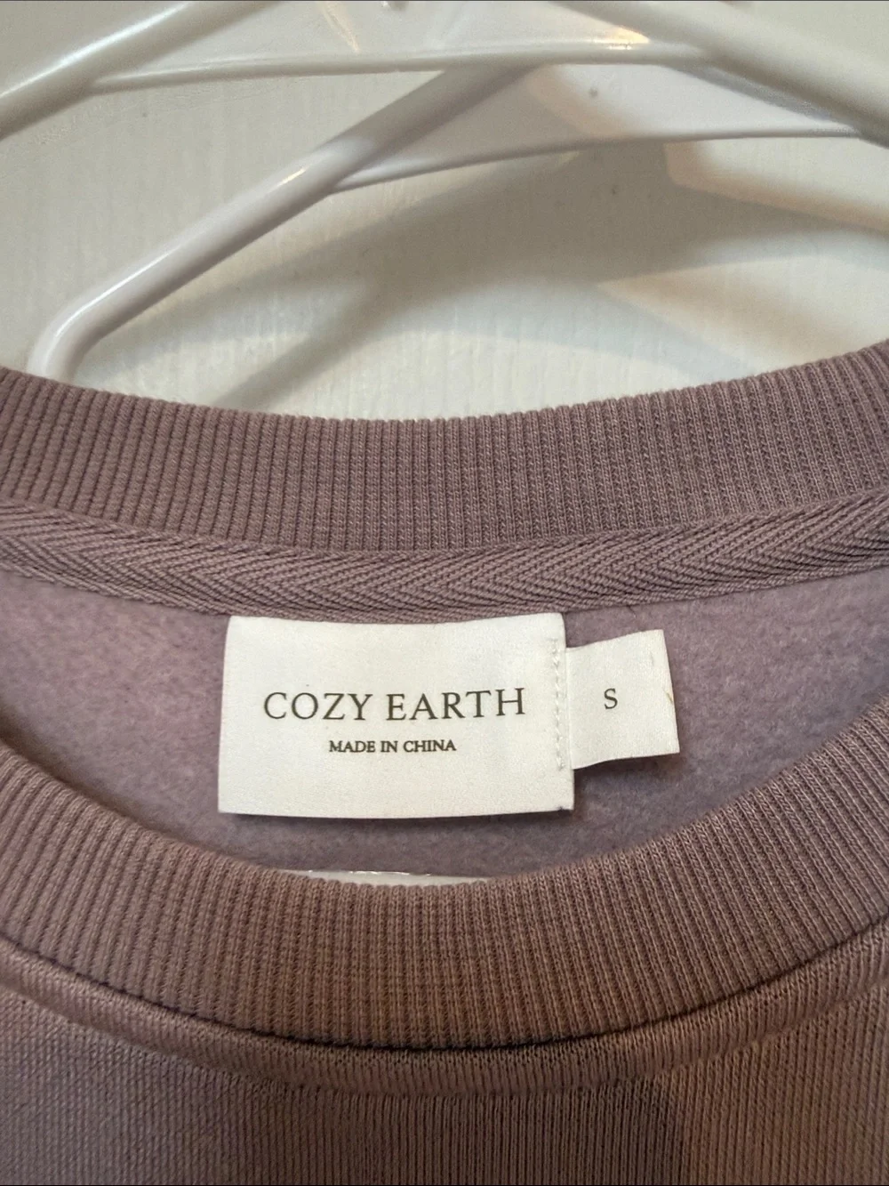 Cozy Earth Long Sleeve Crewneck Sweater Dress- Mauve